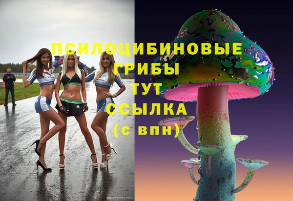 скорость Аша