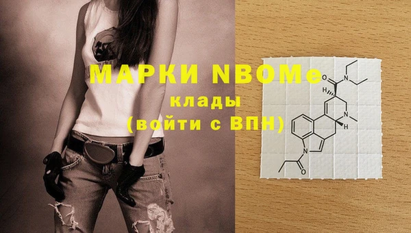 мяу мяу мука Няндома