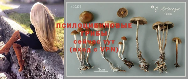 эйфоретик Абдулино