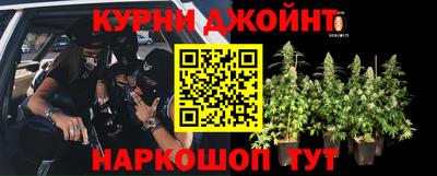 ГАЛЛЮЦИНОГЕННЫЕ ГРИБЫ Малгобек