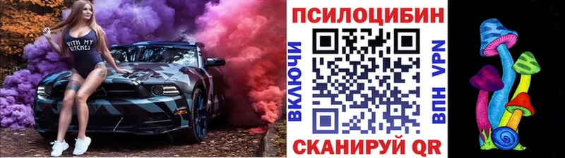 MEGA   Братск  Псилоцибиновые грибы Cubensis 